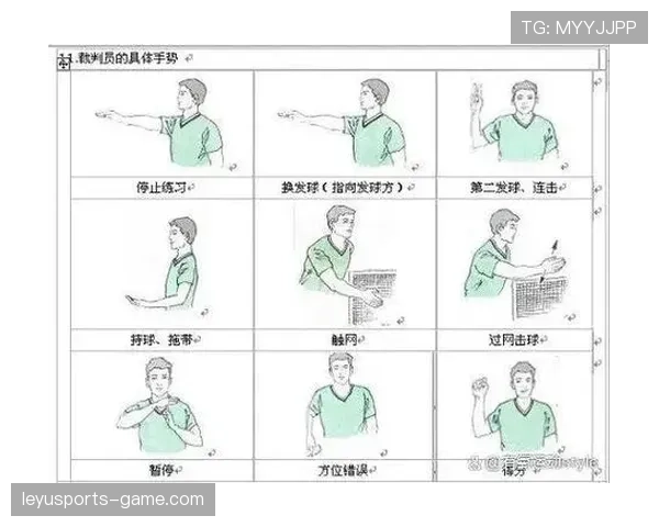 裁判手势详解：每个动作背后的规则含义与判罚依据